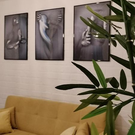 MamoudzouLacazera Safari公寓 外观 照片